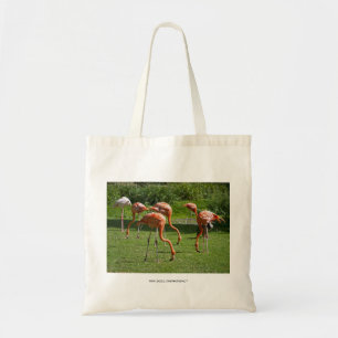Flamingos Tote Bag