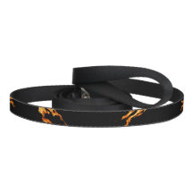 Flammen Flamme Flame Feuer fire leash Hundeleine  