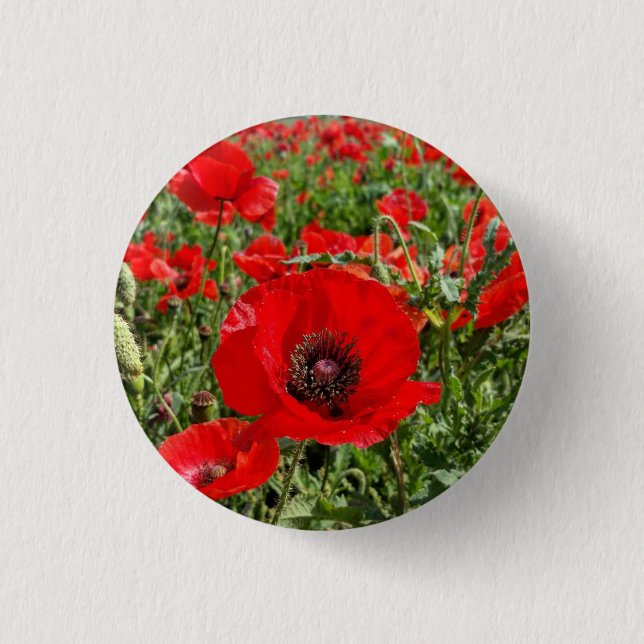 Flanders Poppy Button (Front)