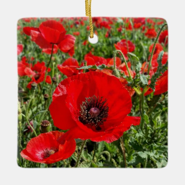 Flanders Poppy Ornament (Front)
