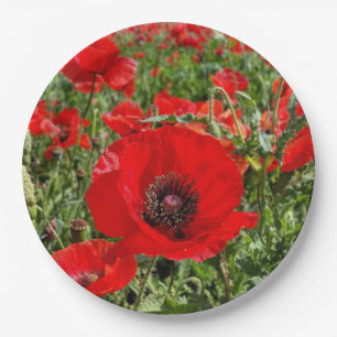 Flanders Poppy Paper Plate