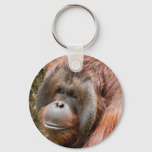 Flanged male orangutan key ring (Front)