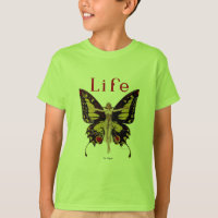 Flapper Butterfly Flying Woman Illustration