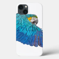 Flapping Blue and Yellow Macaw
