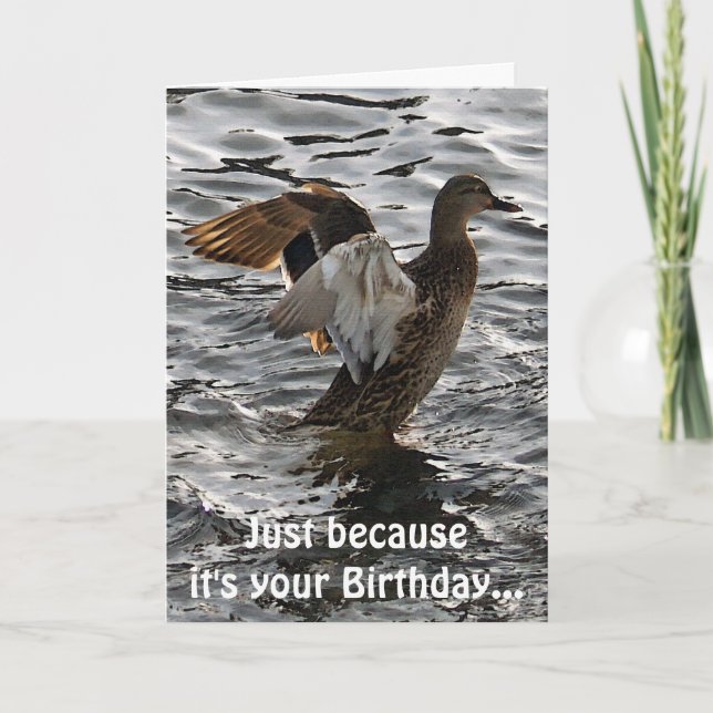Flapping Mallard Duck Funny Birthday Card (Front)