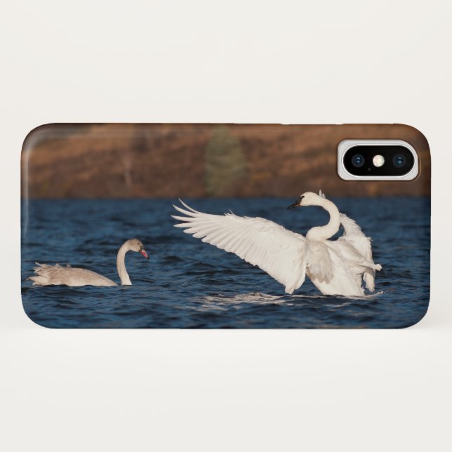Flapping Swan Case-Mate iPhone Case (Back (Horizontal))