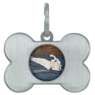 Flapping Swan Pet ID Tag