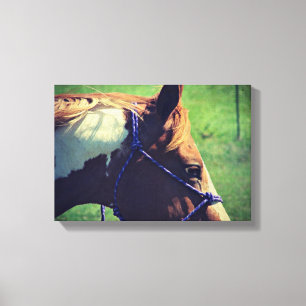 Flashy Canvas Print