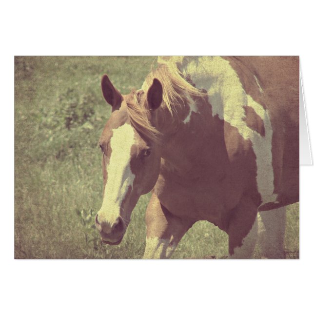 Flashy Faux Vintage (Front Horizontal)