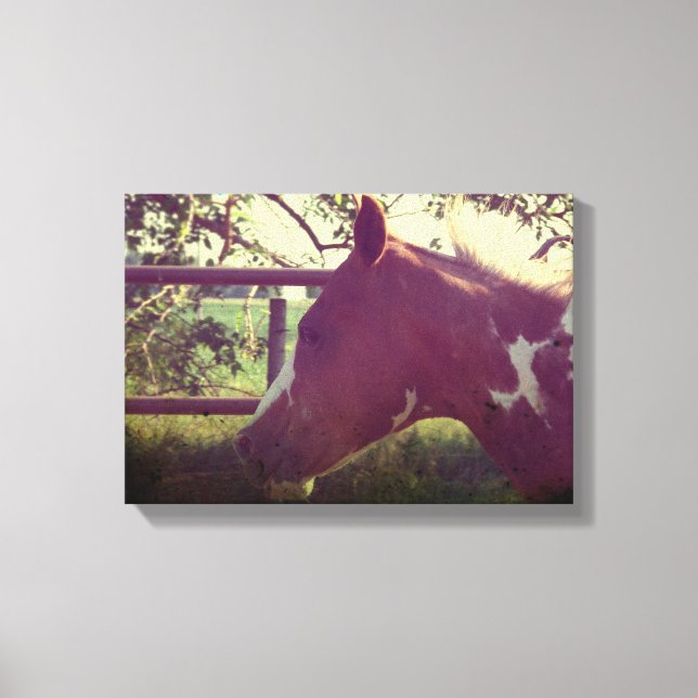 Flashy Grunge Canvas Print (Front)