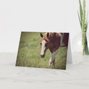 Flashy Paint Horse All Occasions Card