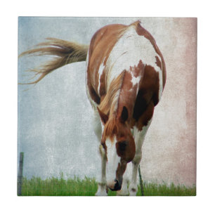 Flashy Paint Horse Mare Tile