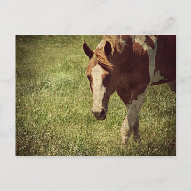 Flashy Postcard (Front)