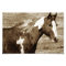 Flashy Tobinano Mare Sepia