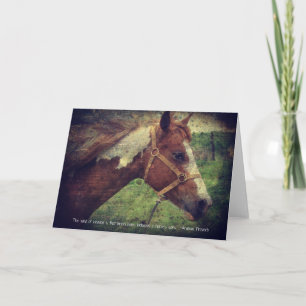 Flashy with Quote Card