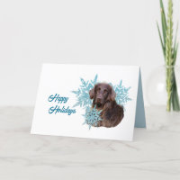 Flat Coat Retriever in the Snowflakes