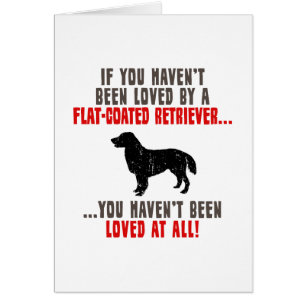 Flat-Coated Retriever