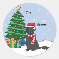 Flat-Coated Retriever and Christmas Tree