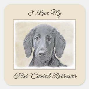 Flat-Coated Retriever Painting - Original Dog Art Square Sticker