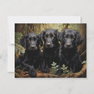 Flat Coated Retriever Puppies Postcard