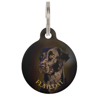 Flat-coated Retriever Round Pet Tag