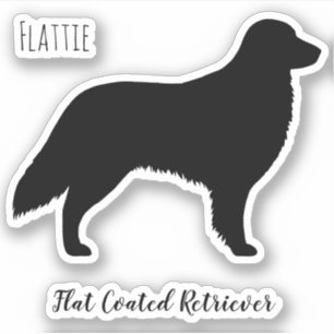 Flat Coated Retriever Silhouette Flattie Dog