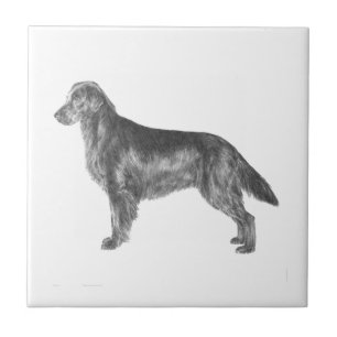 Flat Coated Retriever Tile