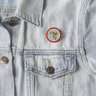 Flat Earth Azimuthal Projection Map Pin Button