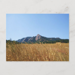 Flat Irons Postcard