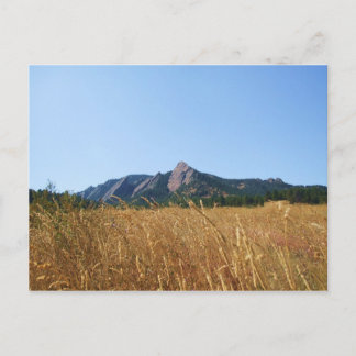 Flat Irons Postcard