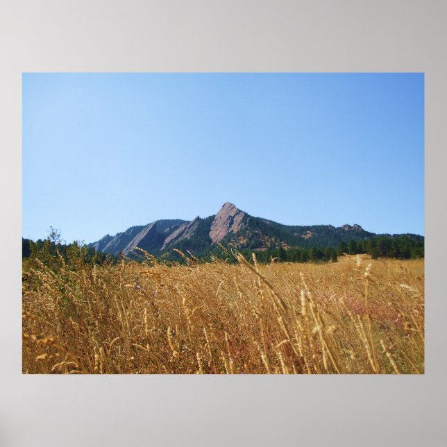 Flat Irons Poster (Front)