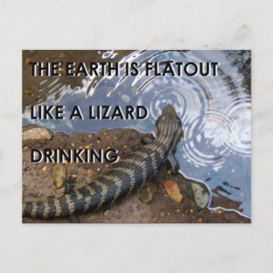 Flat Lizard Postcard - Flat Earth Meme