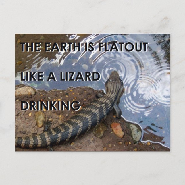 Flat Lizard Postcard - Flat Earth Meme (Front)
