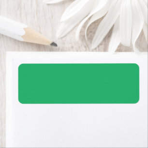 Flat Mint Green Texture Background for Design