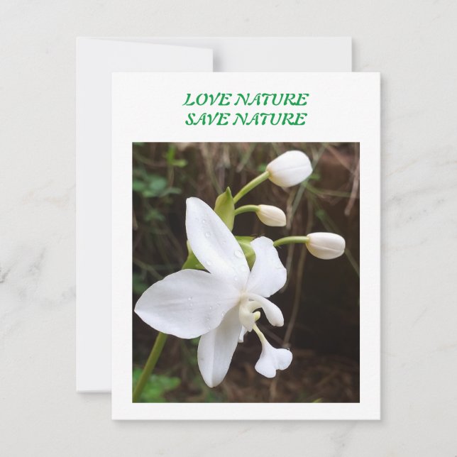 Flat Note Card - environment related announcement (Front)