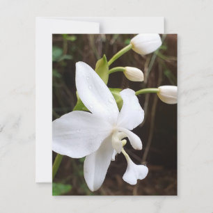 Flat Note Card - environment related announcement