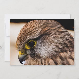 Flat Thank You Card
