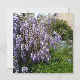 Flat Thank You Card Wisteria Violet Green