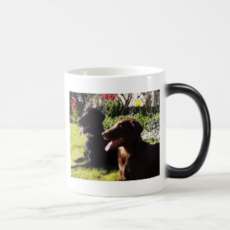 Flatcoated Retriever Mug