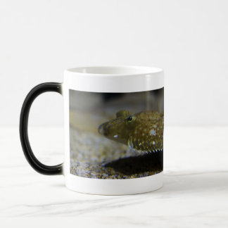 Flatfish Magic Mug