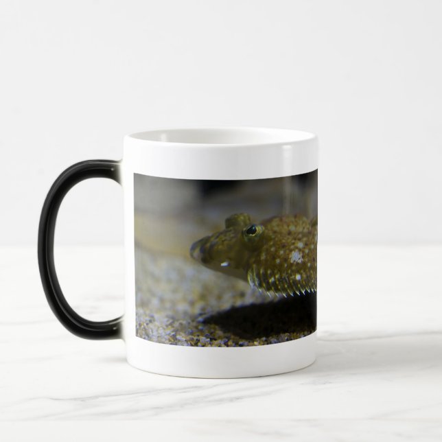 Flatfish Magic Mug (Left)