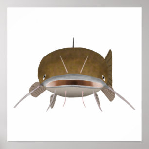 Flathead Catfish - Fish Head Poster