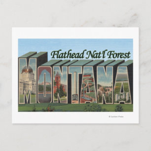 Flathead Nat'l Forest, Montana Postcard