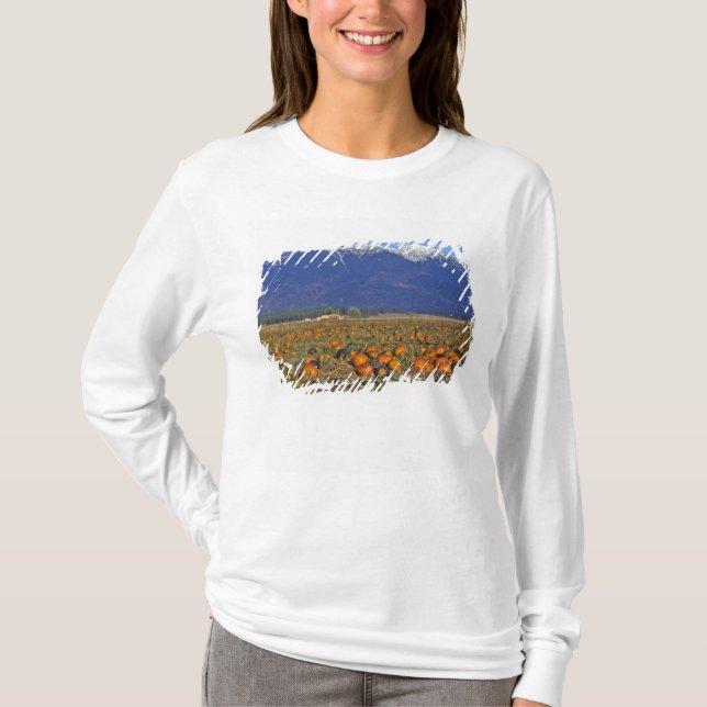 Flathead Valley Montana Pumpkin patch T-Shirt (Front)