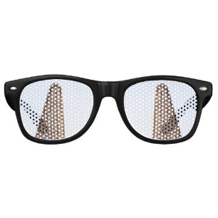 Flatiron building postcard retro sunglasses