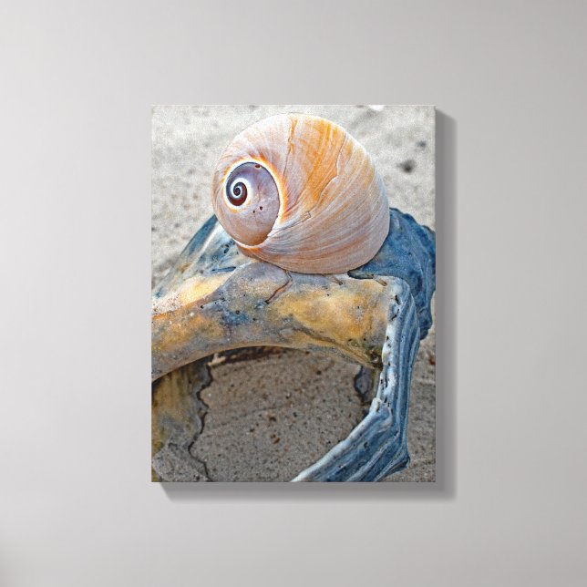 Flawed Beauties Canvas Print (Front)