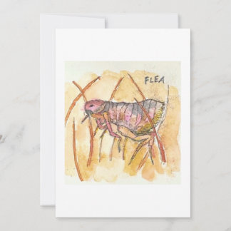 Flea Greeting Card