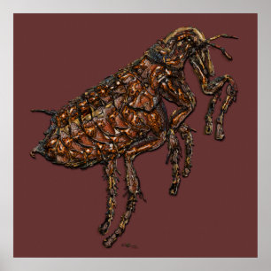 Flea on Dark Brown Poster