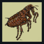 Flea Poster<br><div class="desc">Artistic print of a common flea (Siphonaptera) on green canvas. A true one-of-its-kind digital art masterpiece,  created by the use of my unique multilayer and multi-texture process. The print available in all sizes,  including “Colossal” of up to 44”x44”</div>