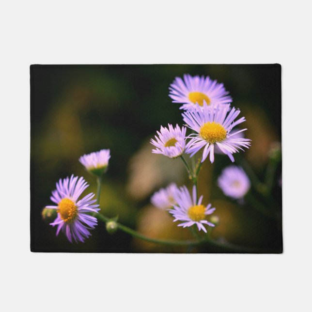 fleabane daisy doormat (Front)